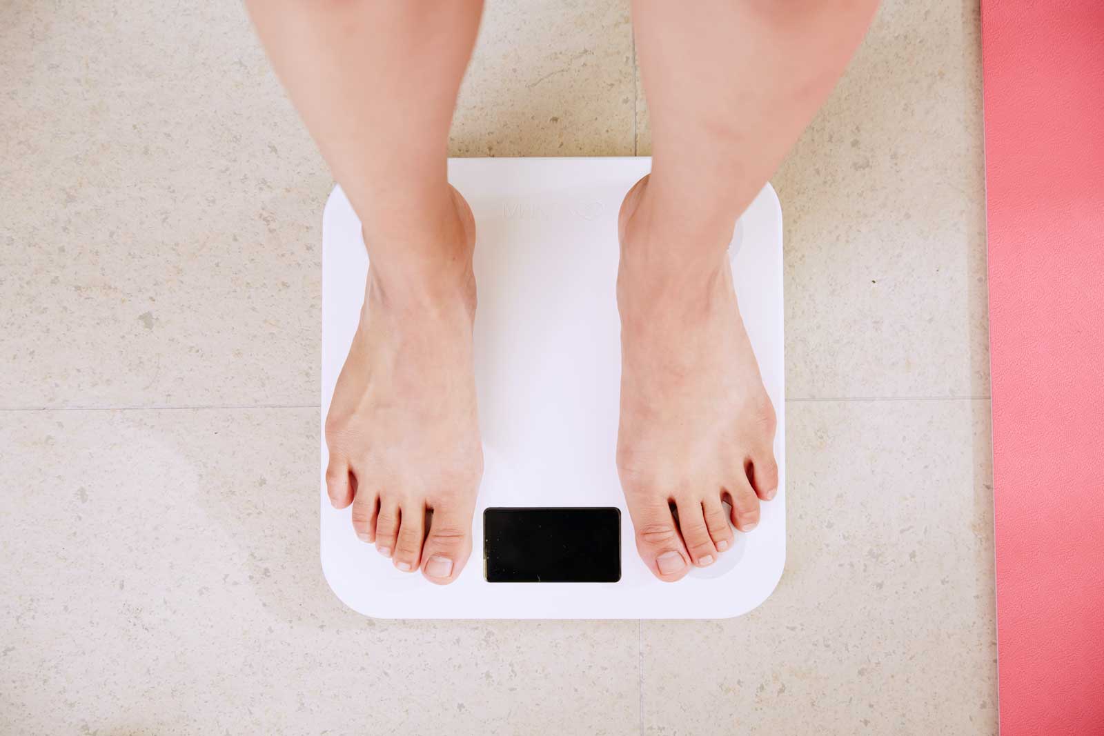 Gut Health and Weight Management