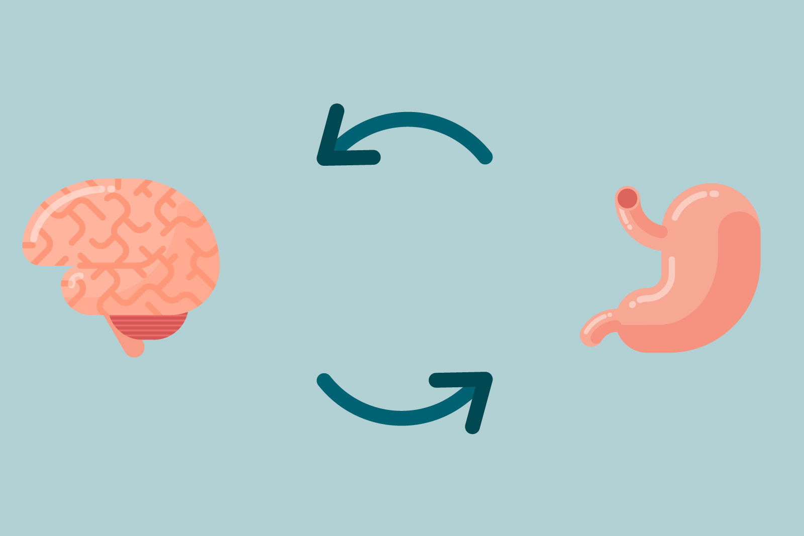 the mind gut connection